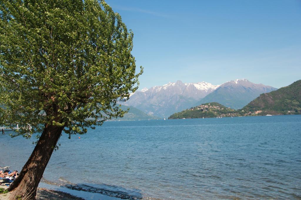 Veranda Beach Apartment Pianello Del Lario Oda fotoğraf